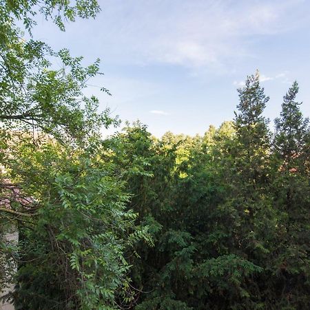 Exotic Rami'S Apartments Timisoara Luaran gambar
